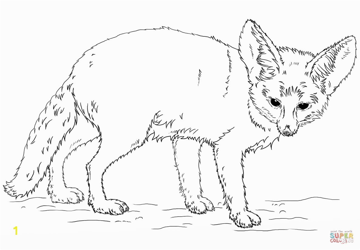 the Fennec Fox coloring pages