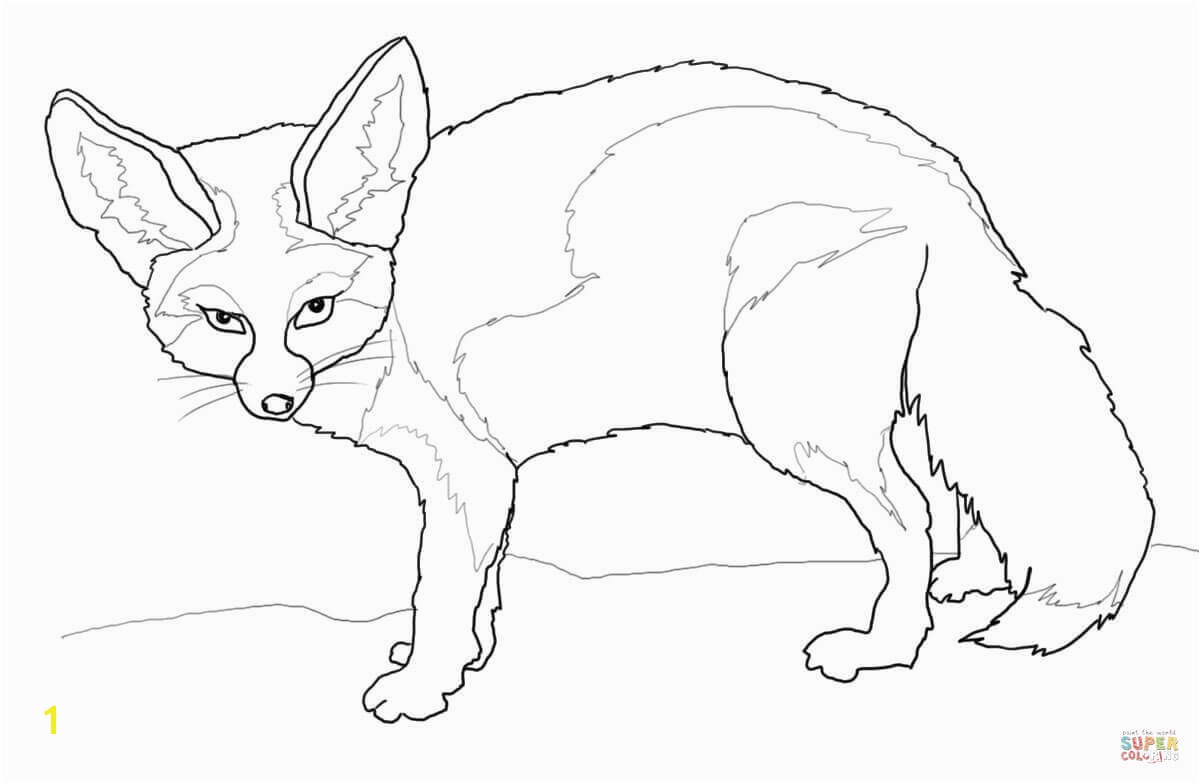 the Fennec Fox coloring pages