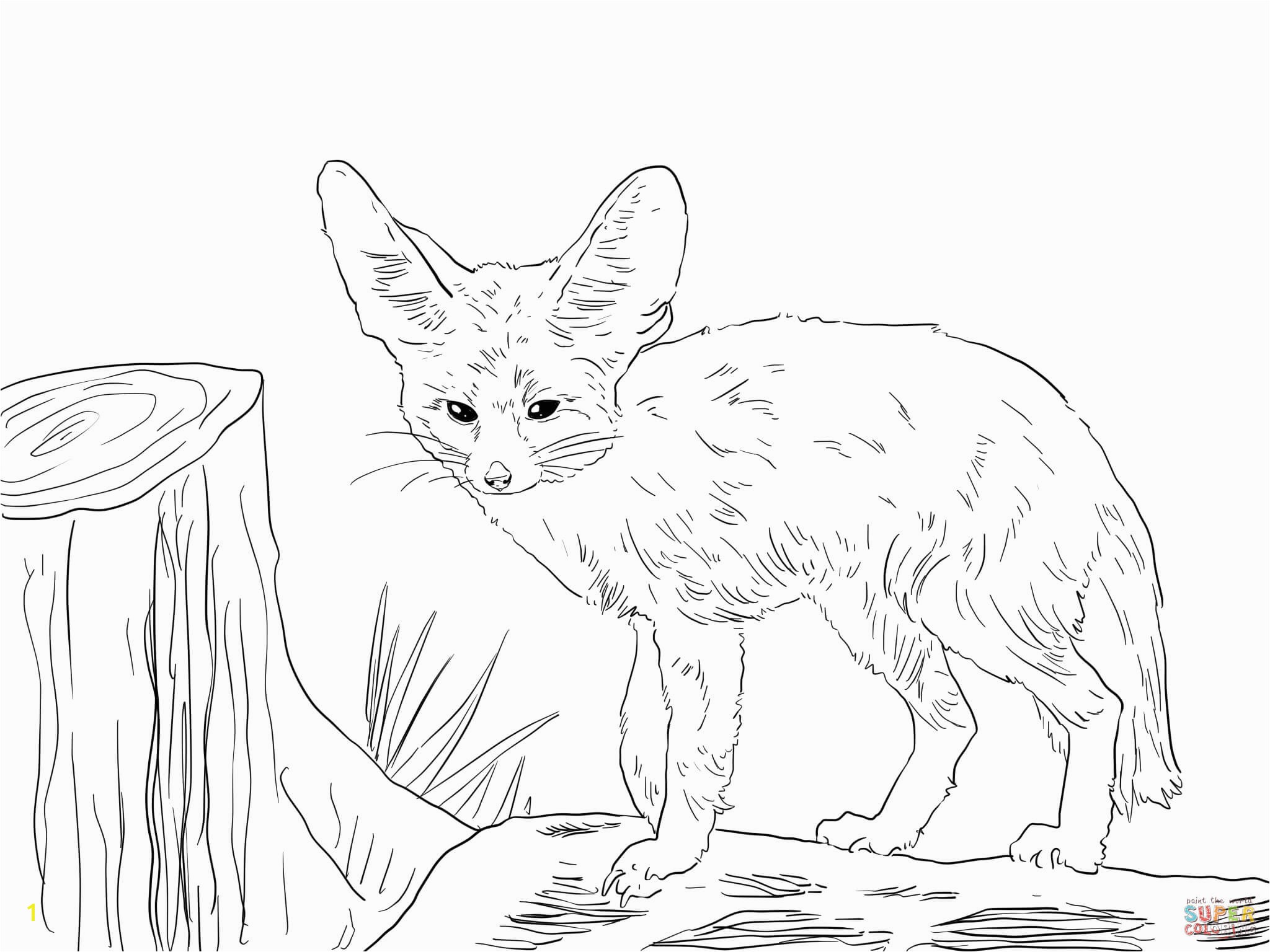 Fennec Fox Coloring Page north African Fennec Fox Coloring Page