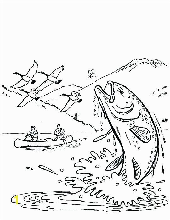 alaska coloring pages willow ptarmigan page airlines animals alaska coloring pages
