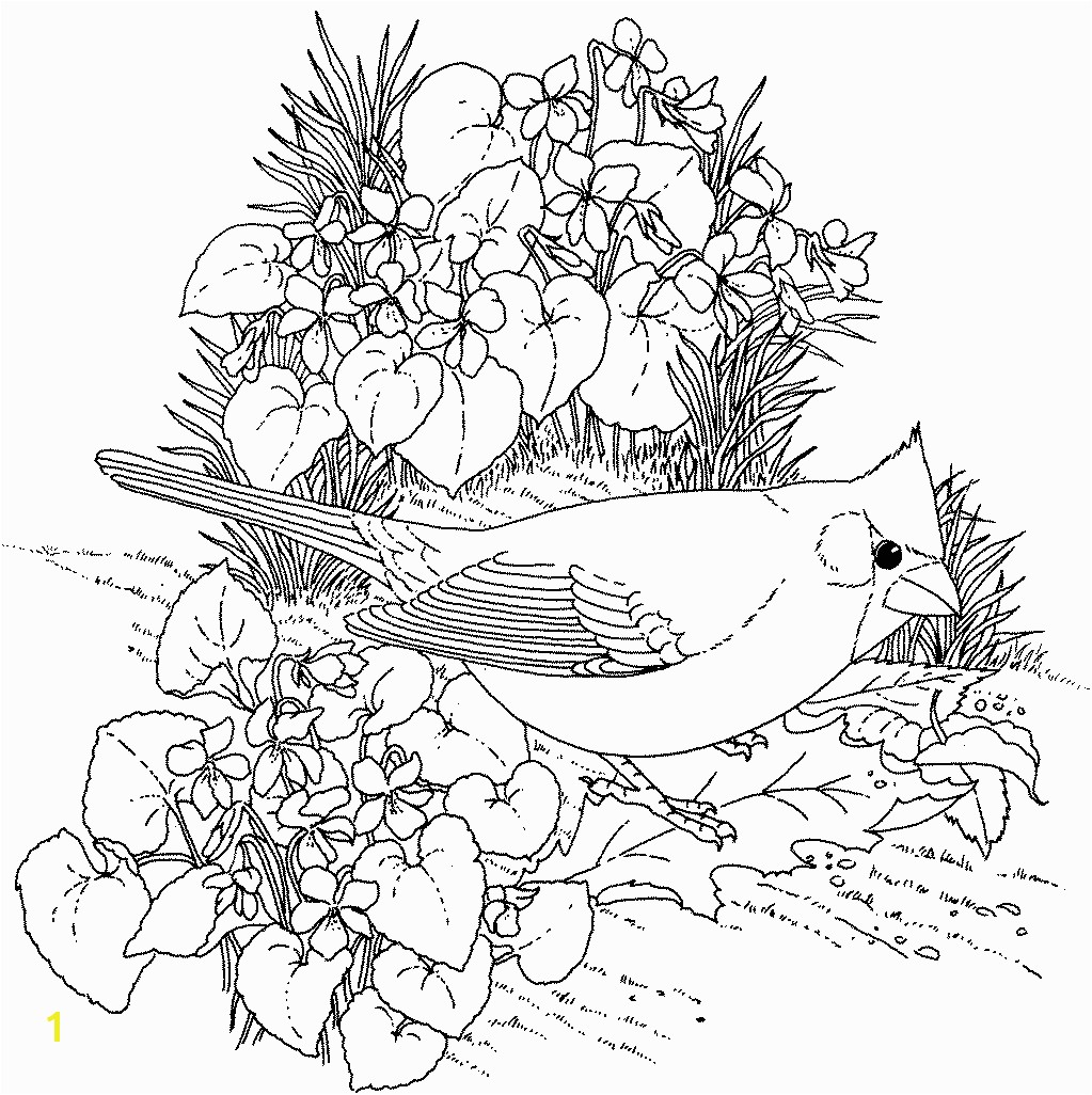 Flower Coloring Pages for Adults to Print Adult Coloring Pages Flowers to and Print for Free