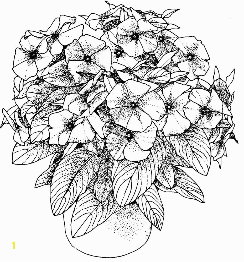 Flower Coloring Pages for Adults to Print Flower Coloring Pages for Adults Best Coloring Pages for Kids