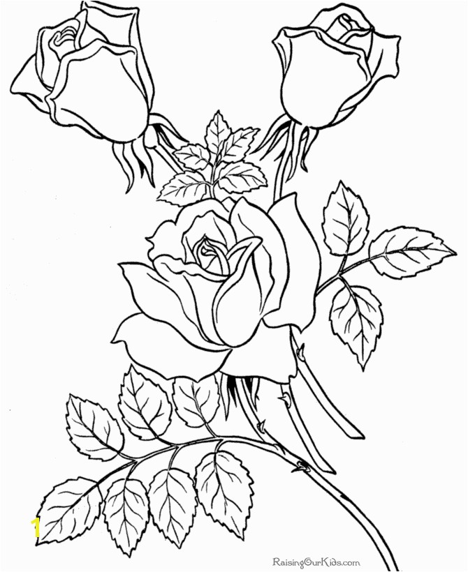 Flower Coloring Pages Free Printable Free Coloring Pages Sheets Of Roses 007 In 2018