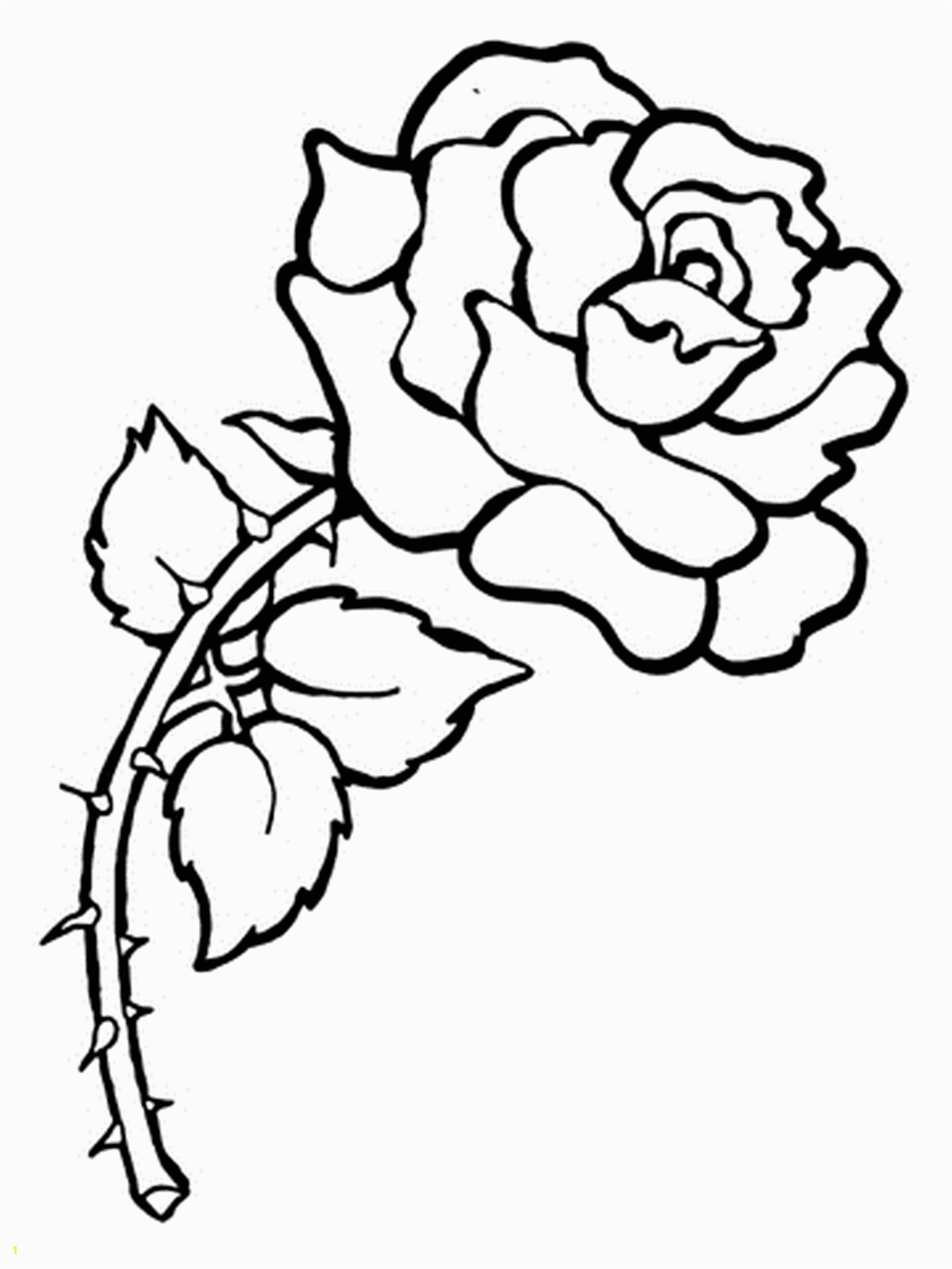 printable rose flower coloring apage