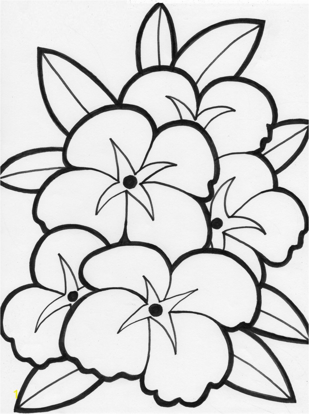 summer flowers printable coloring pages Free