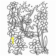The Blooming Flowers Coloring Pages