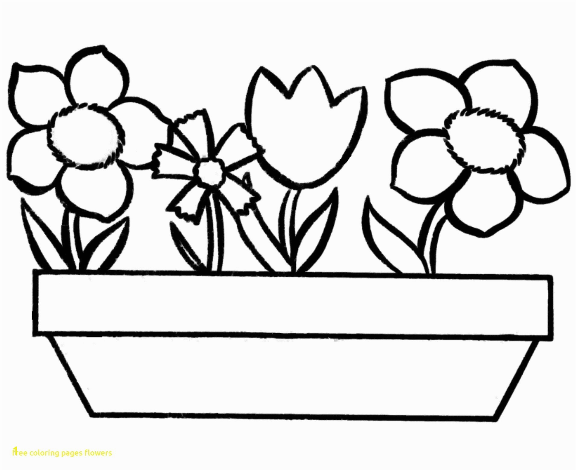 Flowers Coloring Pages Printable New Flower Caudata Page