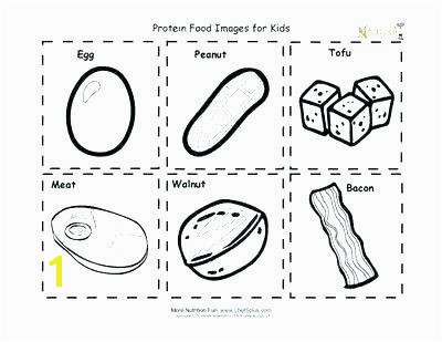 Food Groups Coloring Pages for Preschoolers Awesome Food Group Coloring Pages Od Group Pyramid Coloring Page