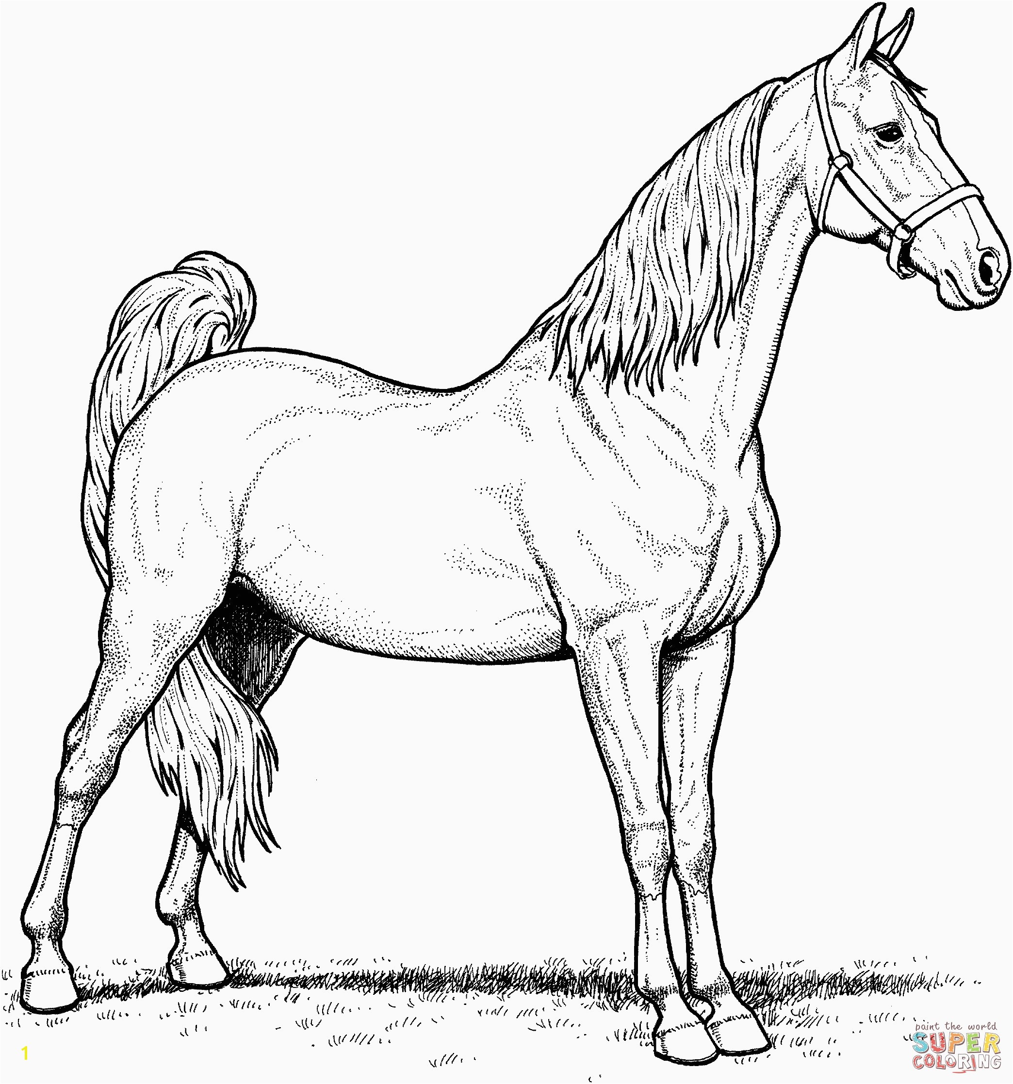 Free Horse Coloring Pages Horse Coloring Pages Fresh Free Coloring Pages Elegant Crayola Pages