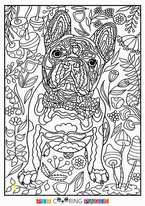 Bulldog Coloring Pages Bulldog Coloring Pages
