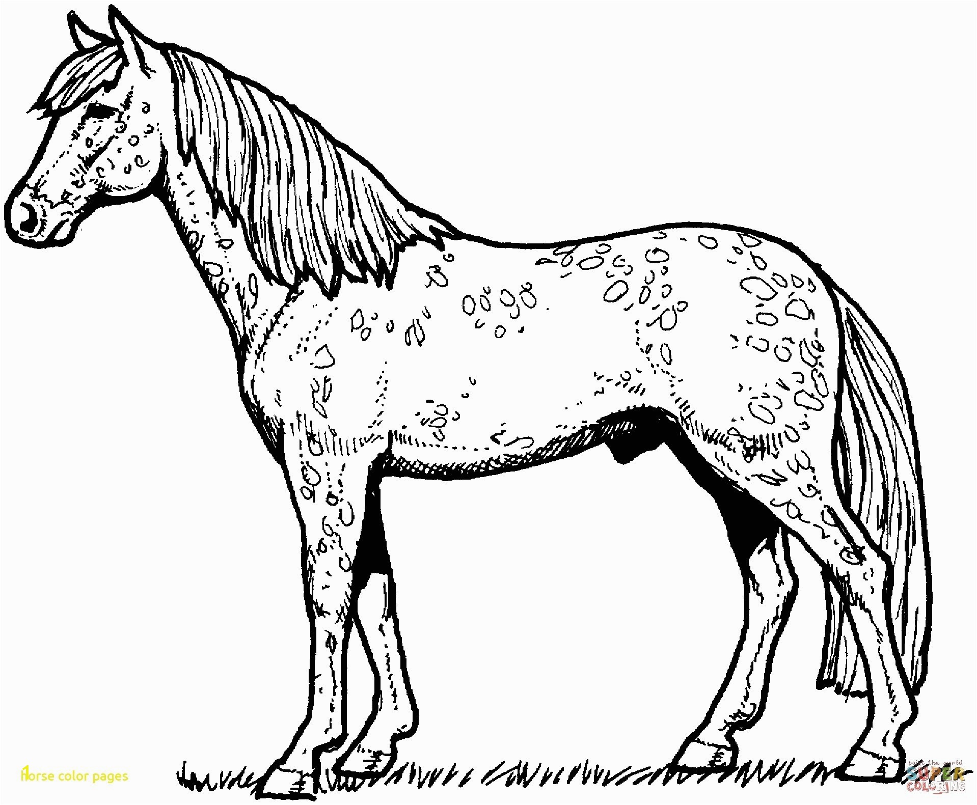 free printable horse coloring pages Horse Color Pages With Horses Coloring Pages Free Printable