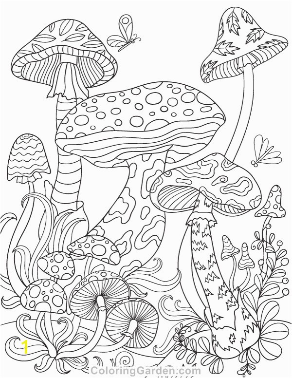 Mushroom Coloring Page Free Printable Mushrooms Adult Coloring Page Download It In Pdf