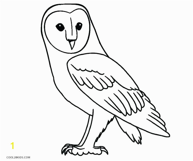 Cartoon Owl Coloring Pages Color Page Snowy Free Printable Valentine To Print