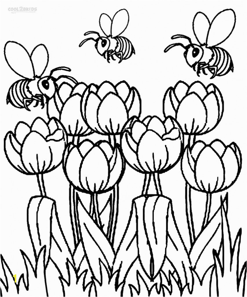 Free Printable Tulip Coloring Pages