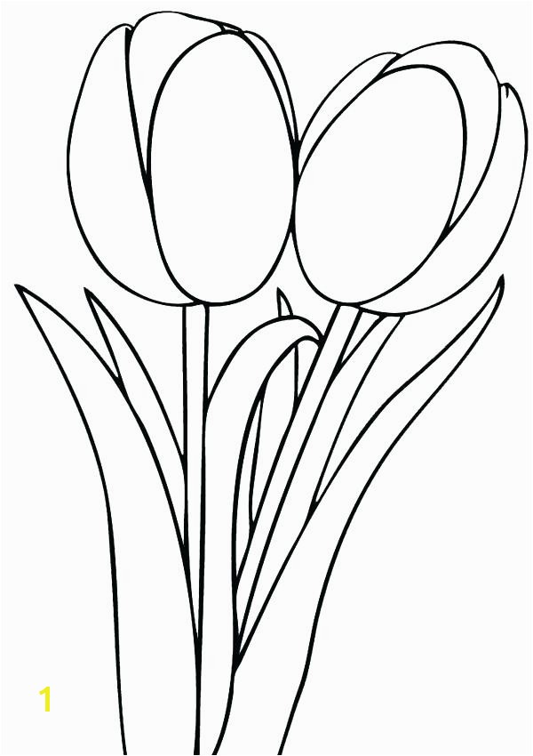 Free Printable Tulip Coloring Pages Free Printable Tulip Coloring Pages Coloring for Kids Tulip Coloring