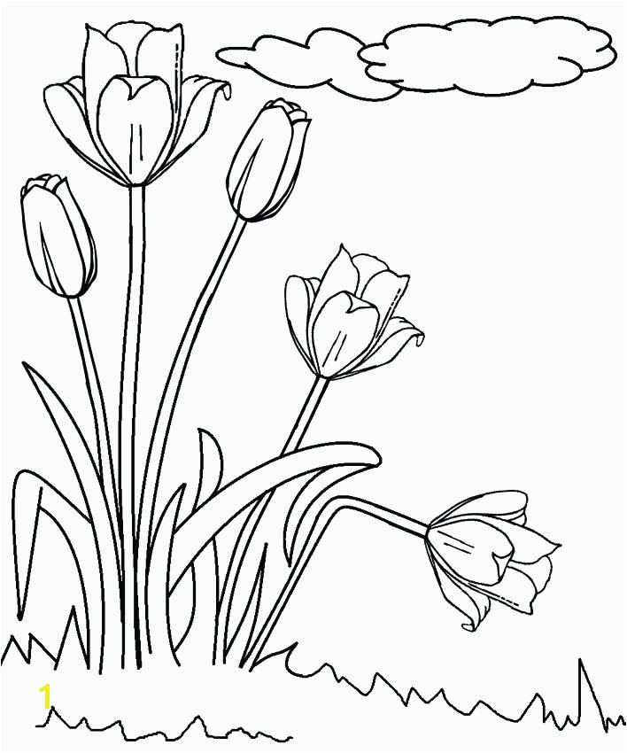 Free Printable Tulip Coloring Pages Free Printable Tulip Coloring Sheets Tulip Coloring Pages Template