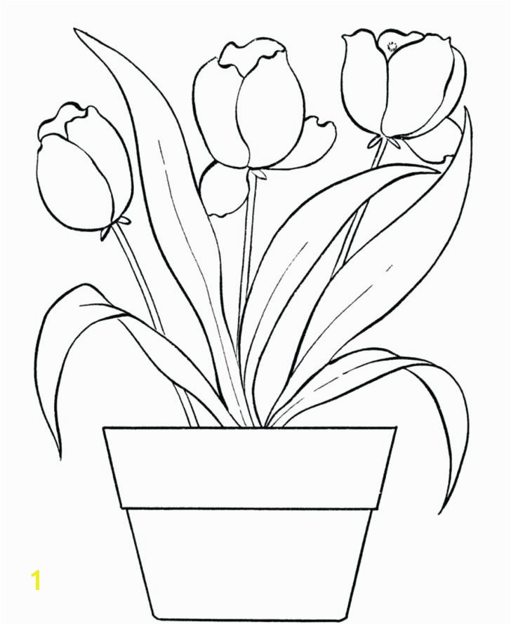 Free Printable Tulip Coloring Pages Plete P Tulip Coloring Pages Acceptable Free Printable