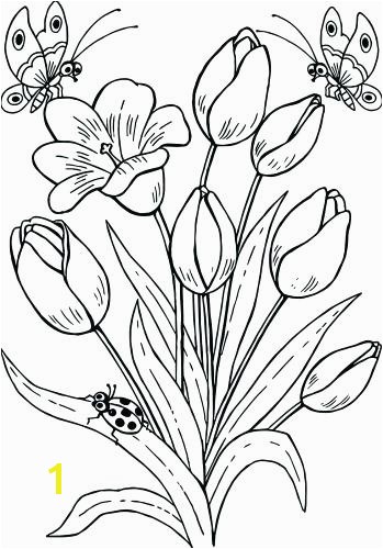 Free Printable Tulip Coloring Pages Tulip Coloring Page Tulip Coloring Page Related Post Spring Tulip