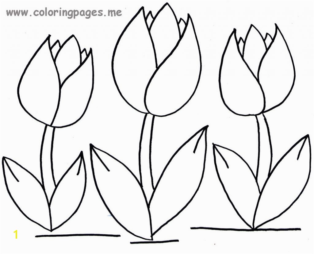 Tulip Coloring Pages All Regarding Page Flower Free Printable