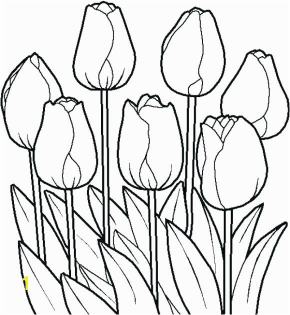 tulip coloring pages flower colouring free printable sheets