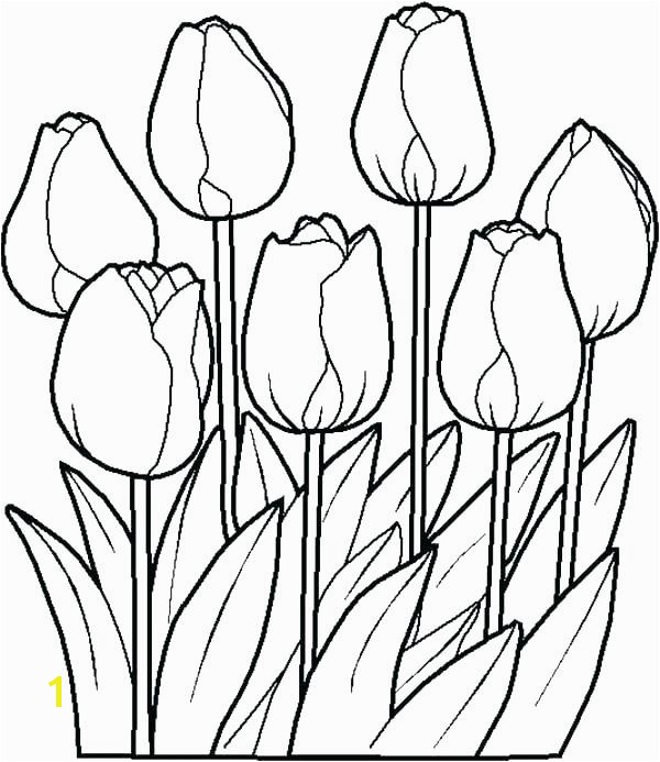 tulips coloring pages free e tulip coloring pages tulips of free printable tulips coloring pages