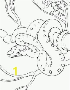 Animals Snake Coloring Pages