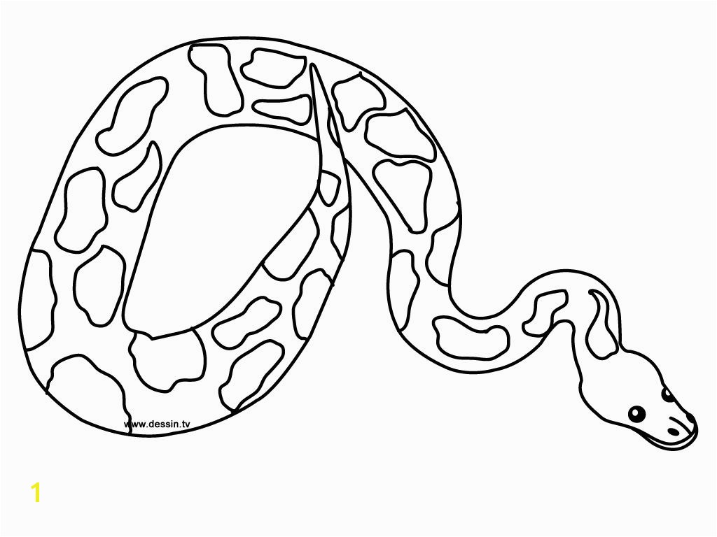 Printable Snake to Color