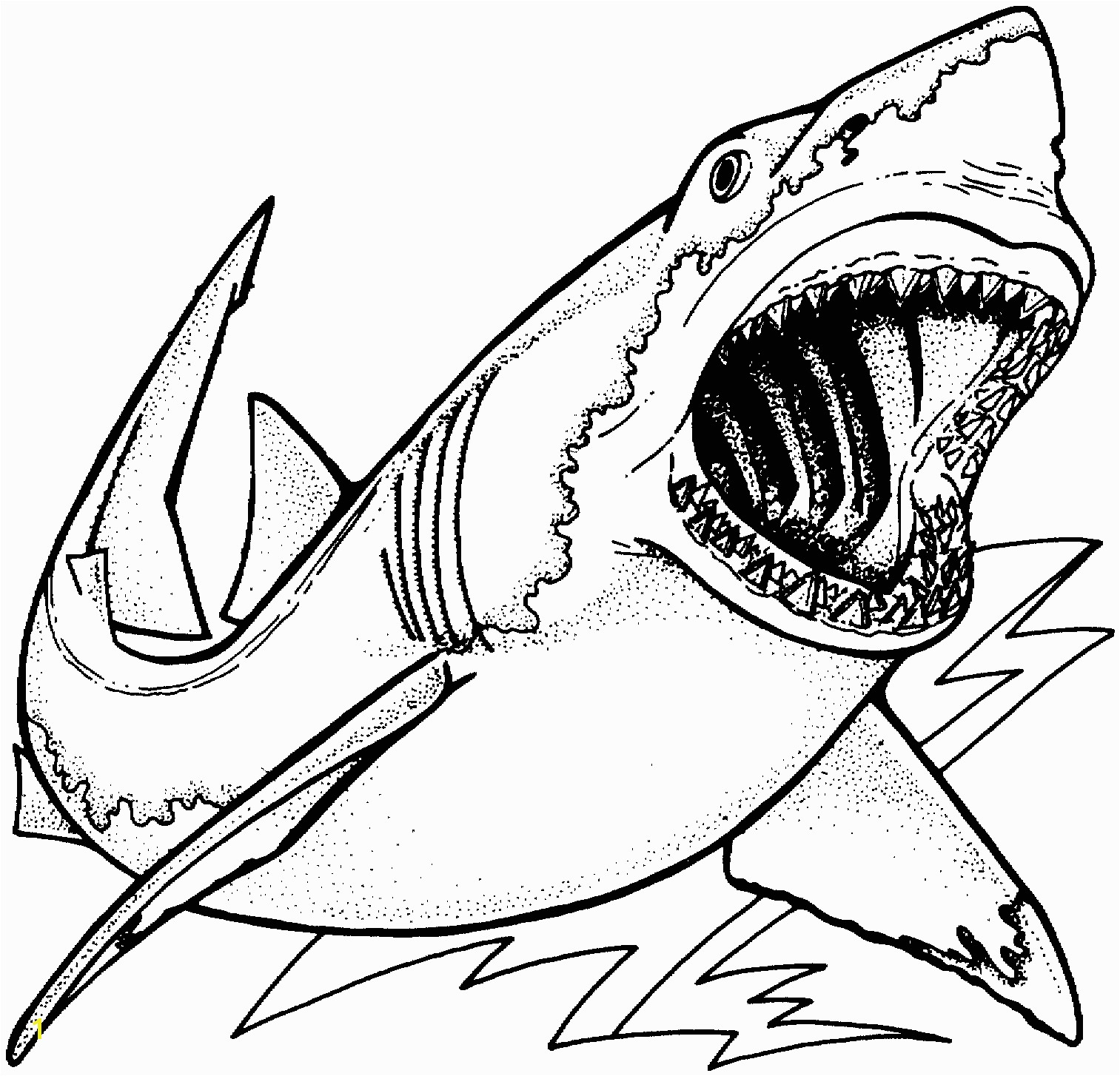 Great White Shark Coloring Pages for Realistic Sea Animal Coloring Pages Shark