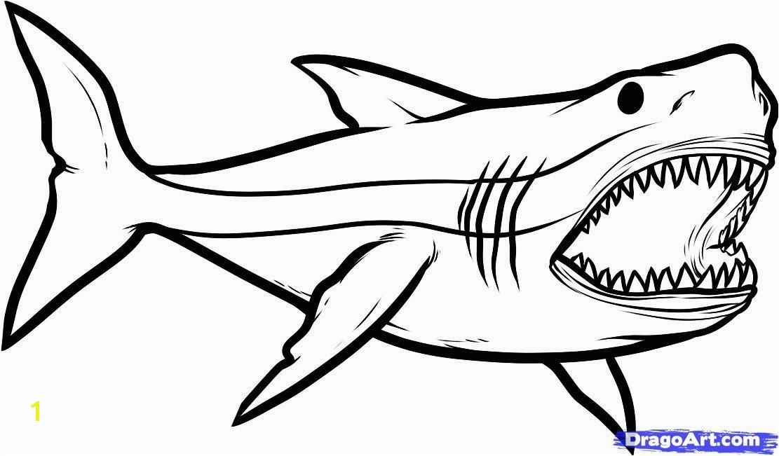 Great White Shark Coloring Pages New How to Draw Megalodon Megalodon Shark Step by Step Dinosaurs