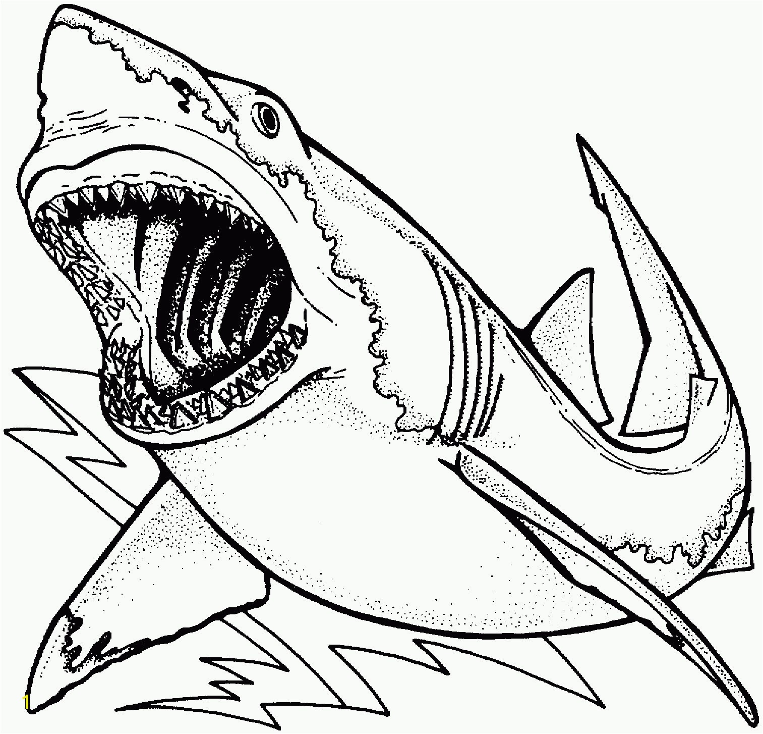 Shark Coloring Page Great White Shark Coloring Pages Awesome Bull Shark Drawing At