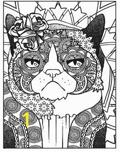 Dover Creative Haven Grumpy Cat Hates Coloring 3 Adult Coloring Pages Pinterest