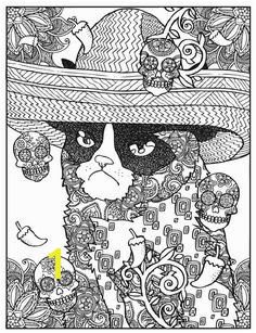 Dover Publications Creative Haven Grumpy Cat Hates Coloring Coloring Book … DOVER COLOR PAGES