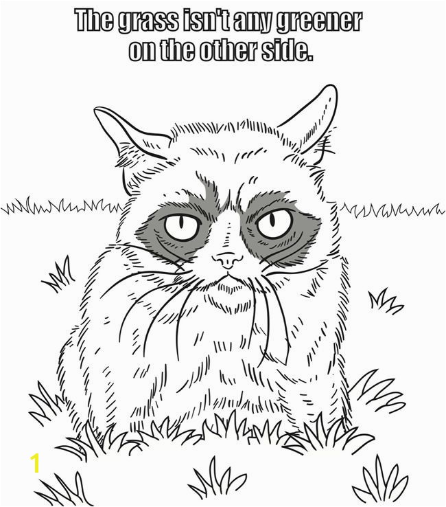 Grumpy Cat Coloring Pages Grumpy Cat Drawing at Getdrawings