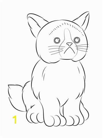 Grumpy Cat Coloring Pages Webkinz Grumpy Cat Coloring Page