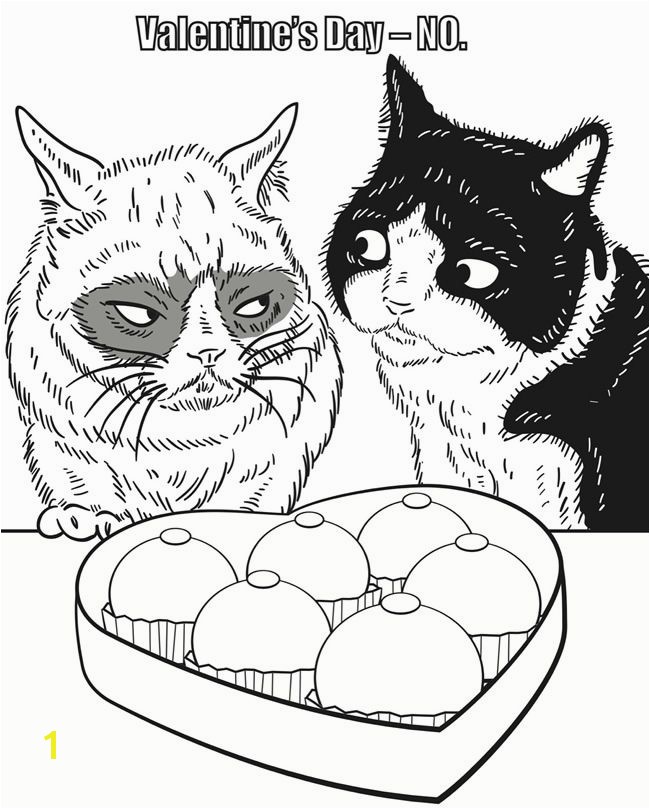 Grumpy Cat Coloring Pages Wel E to Dover Publications Grumpy Cat Coloring Book Grumpy