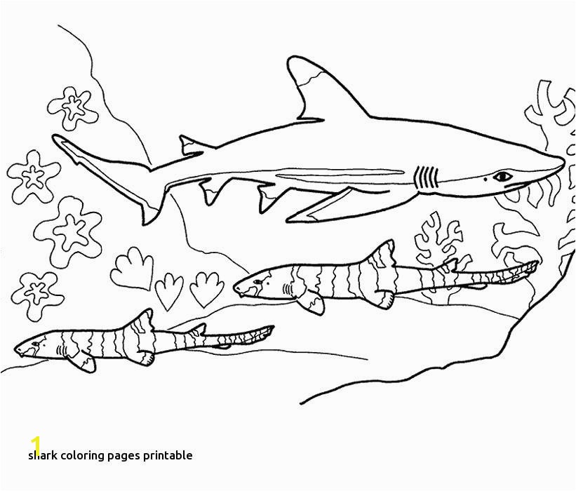 Hammerhead Shark Coloring Page 28 Beautiful Shark Coloring Pages Concept