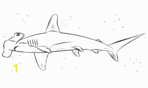 dazzling shark printable coloring pages sharks free printable