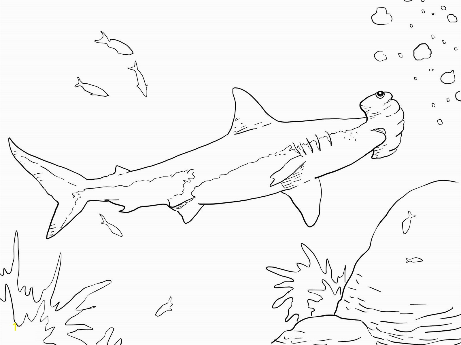 Wonderful Hammerhead Shark Color 17 Fresh Coloring Page Voterapp