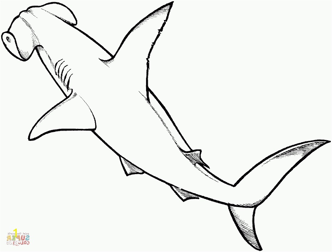 Hammerhead Shark Coloring Page | divyajanan