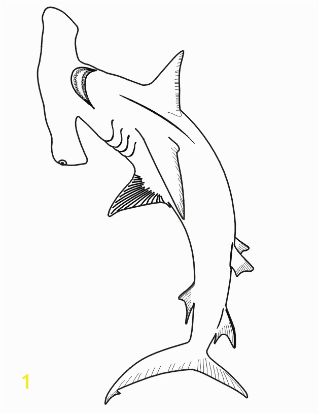 Hammerhead Shark Coloring Page Hammerhead Shark Coloring Page