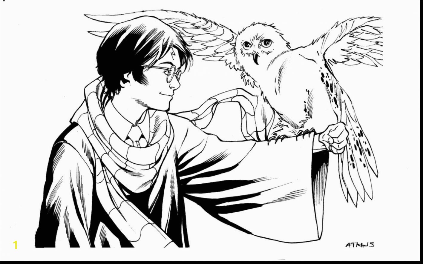 Free Harry Potter Coloring Pages 13 6638 And Page