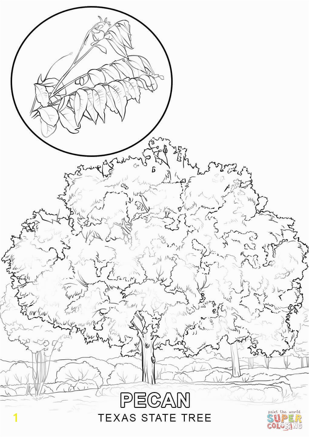 1020x1440 Coloring Pages Coloring Pages Draw A Tree Coloring Pages Draw A