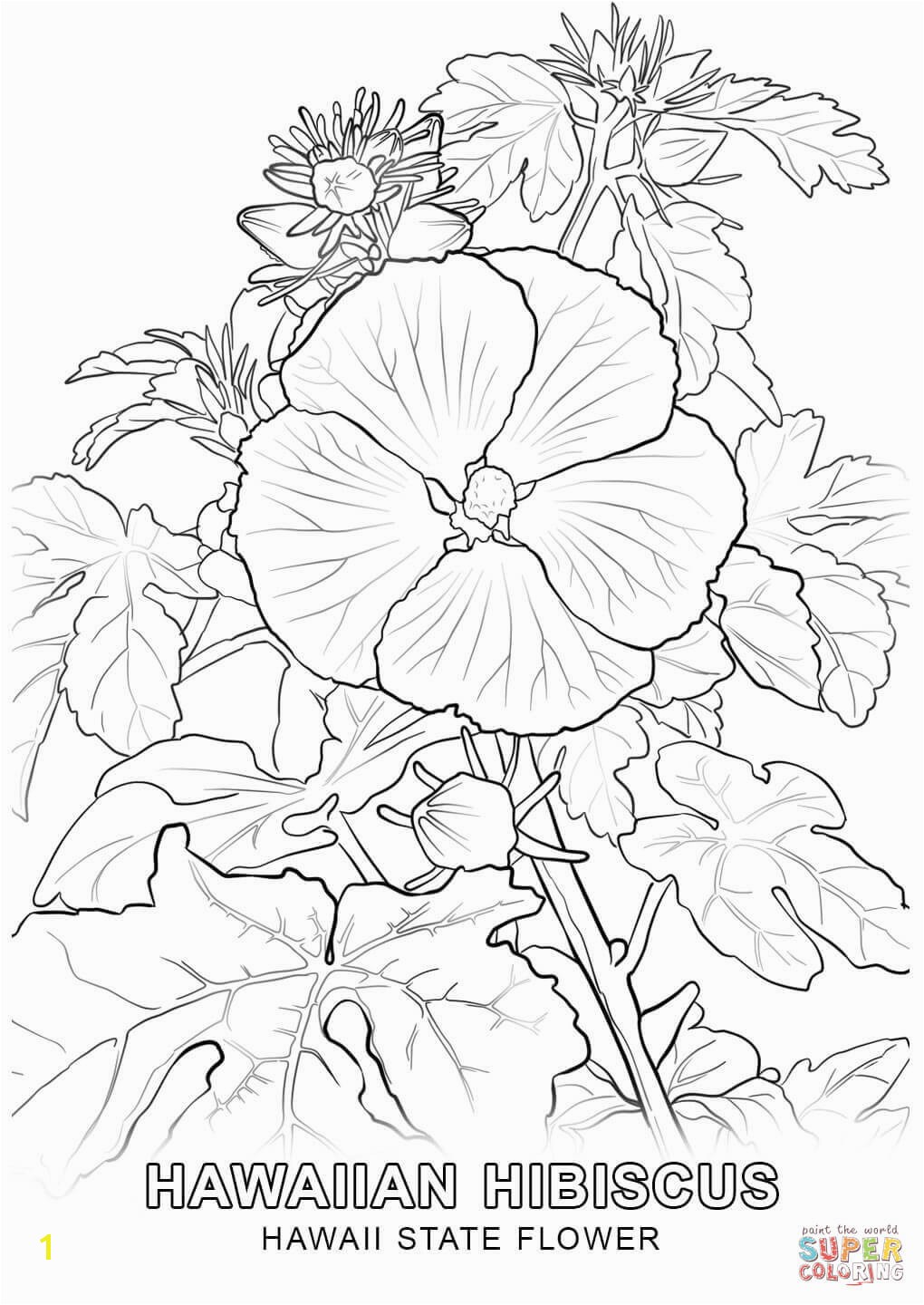 1020x1440 Hawaii State Flower coloring page Free Printable Coloring Pages