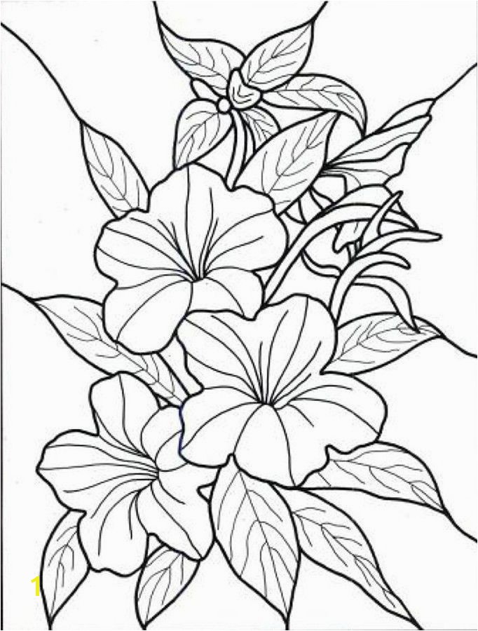 Hawaii Coloring Pages Elegant 369 Best Coloring Pages Pinterest Hawaii Coloring Pages New