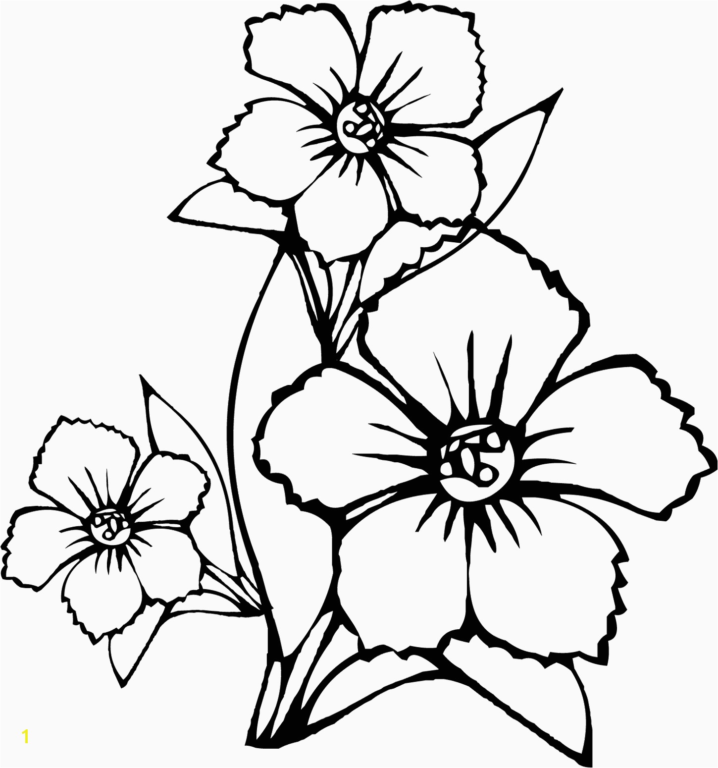 Hawaiian Flower Coloring Page California State Flower Coloring Page Coloring Pages Hawaiian