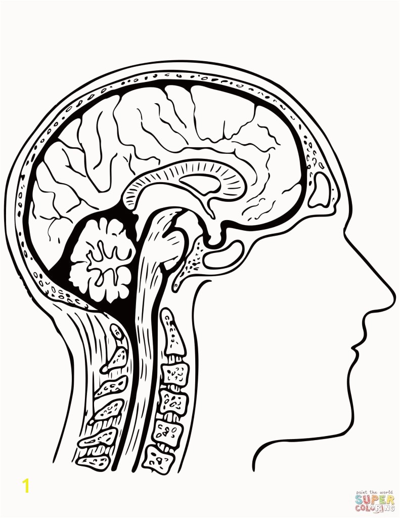 Hero Factory Brain attack Coloring Pages Hero Factory Brain Coloring Pages Amazing Nike Just Do It Nike