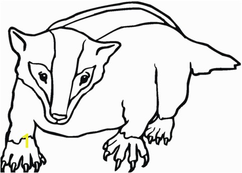 American badger coloring page