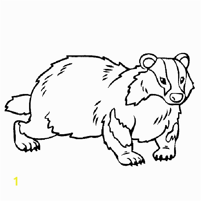 honey badger coloring page