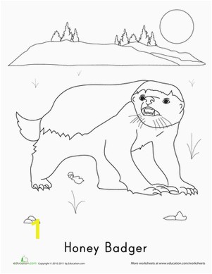 Honey Badger Coloring Page