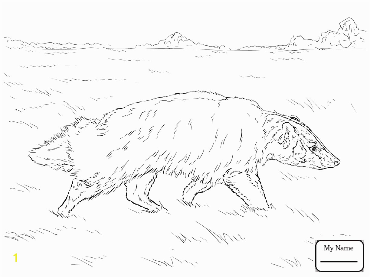 New Honey Badger Coloring Page Drawing At GetDrawings Free For Personal Use